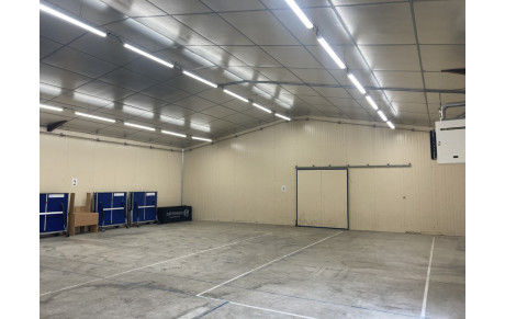 Travaux éclairage salle Domi