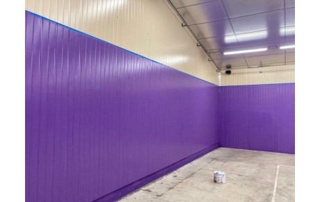 Travaux Peinture Salle DOmi